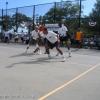 2006 orchard14