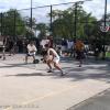 2006 orchard28