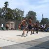 2005 handball54