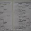 2008 orchard101